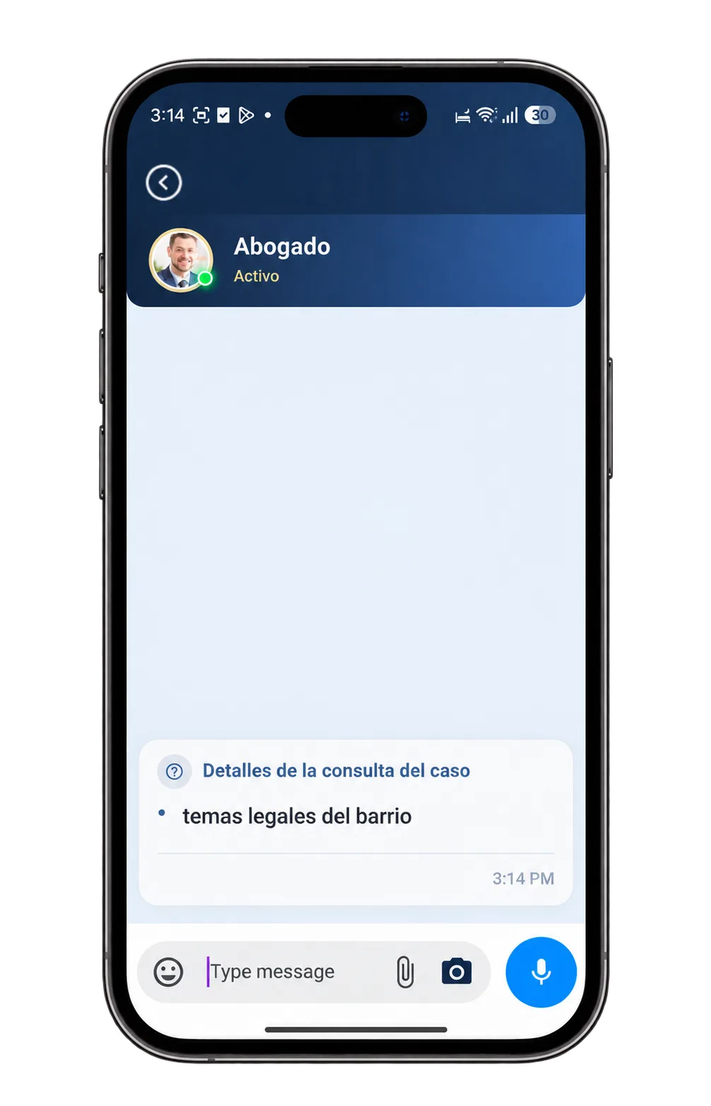 Chat con un abogado y detalle de la consulta del caso.